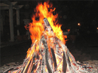 Holi / Holika Dahan